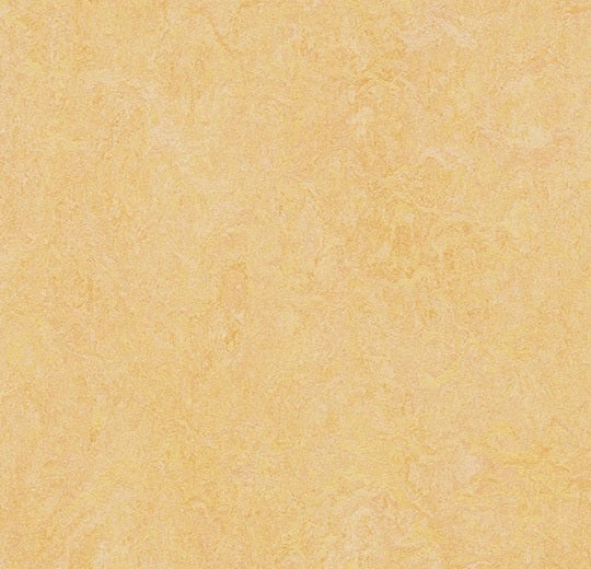 Marmoleum Fresco Natural Corn Linoleum - Topshield Pro