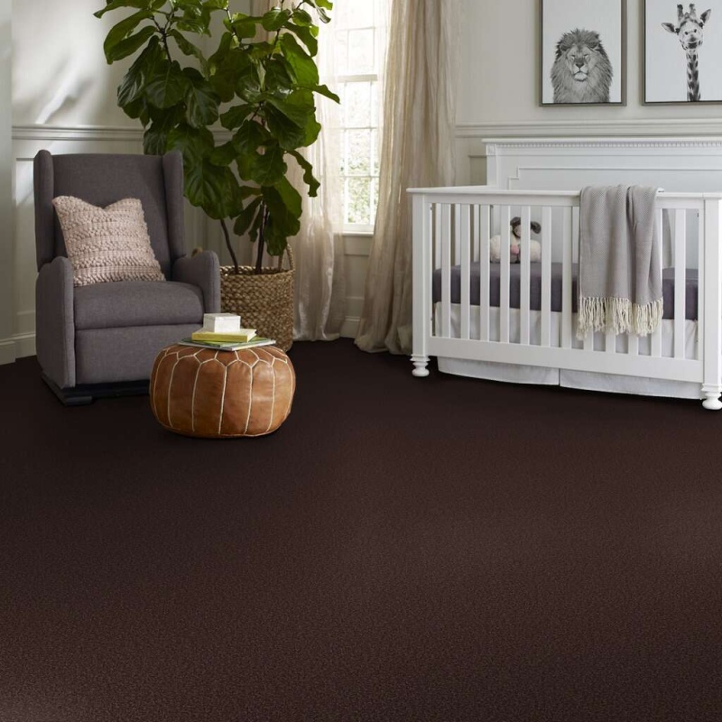 Magic At Last Iv 15' Dark Chocolate Nylon Carpet - Textured
