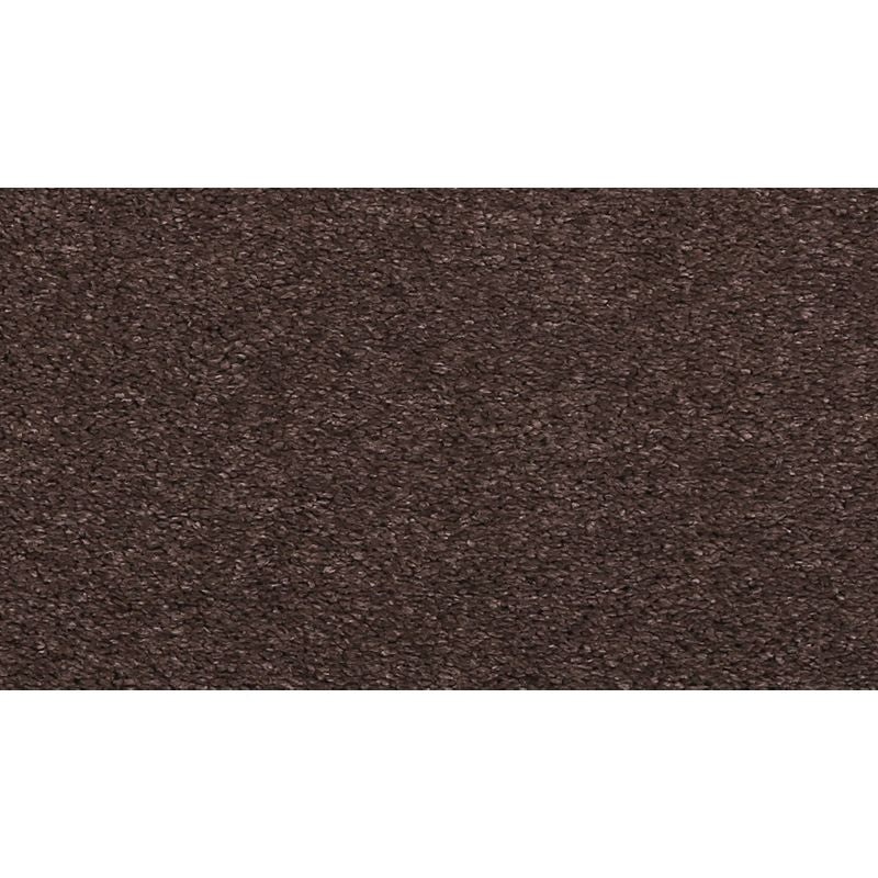 Luxuriant Life Dark Fudge Triexta Carpet - Textured