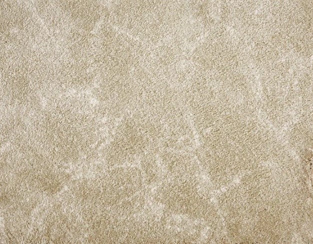 Vivo Vibes Canvas Polysoft Carpet - Textured