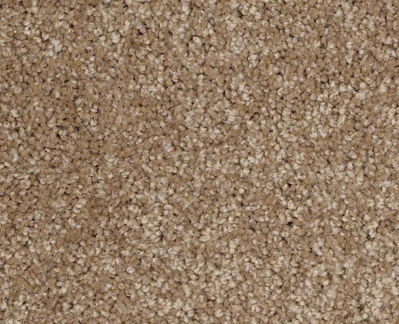 Anso Open Iii (S) Bridgewater Tan Nylon Carpet - Textured