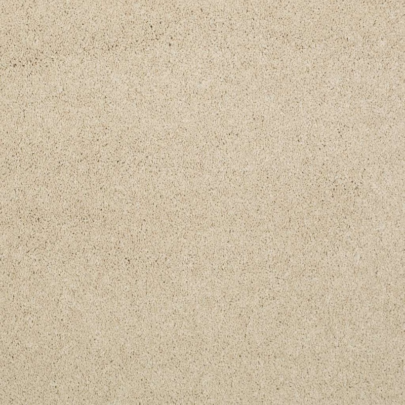 Caress By Shaw Quiet Comfort Classic Iii Yearling Nylon Carpet - Textured