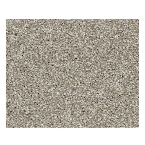Vacation Day Slate Nylon Carpet - Textured