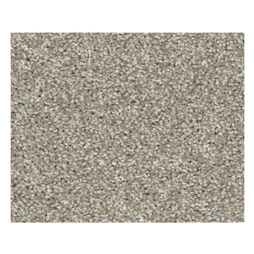 Striking Gray Flannel Nylon Carpet - Textured
