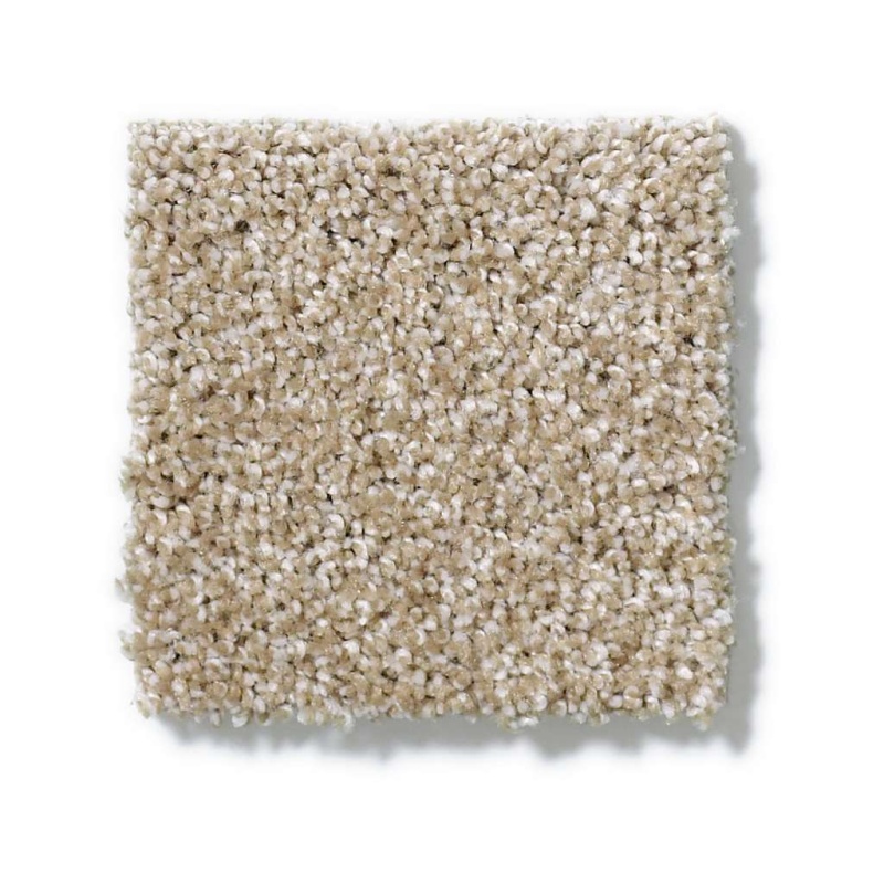 Picturesque Mushroom Nylon Carpet - Textured