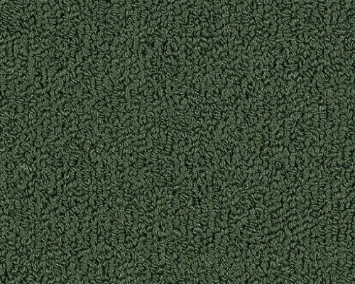 Color Accents Bl Cyprus Nylon Carpet - Loop