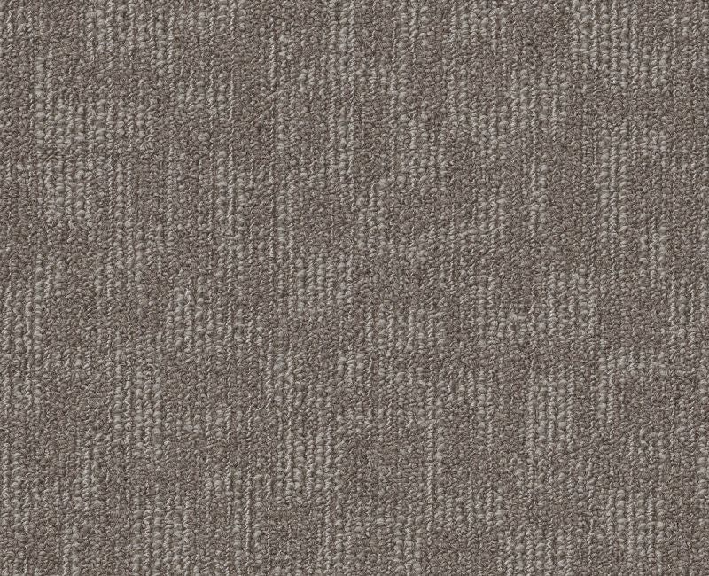 Clearance Sale! Forge Gray Beige Nylon Carpet - Pattern