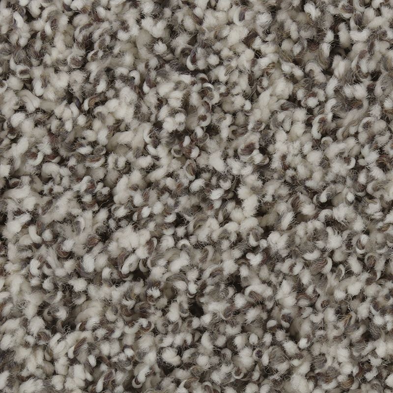 Exquisite Accent Winter Ash Triexta Carpet - Textured