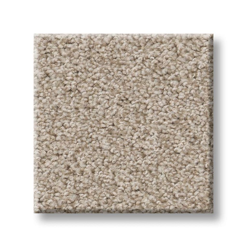 Foundations Harmonious I Sandstone Nylon Carpet - Textured