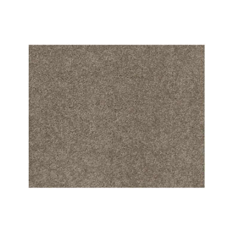Butterfly Kisses Iii Sahara Buff Nylon Carpet - Textured