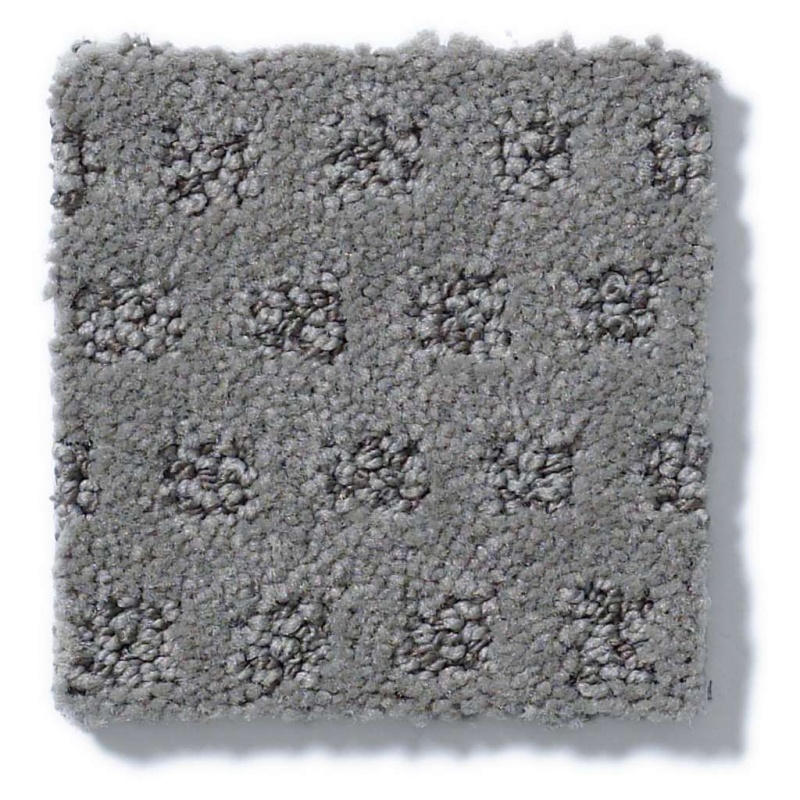 Caress By Shaw My Expression Stirling Nylon Carpet - Pattern