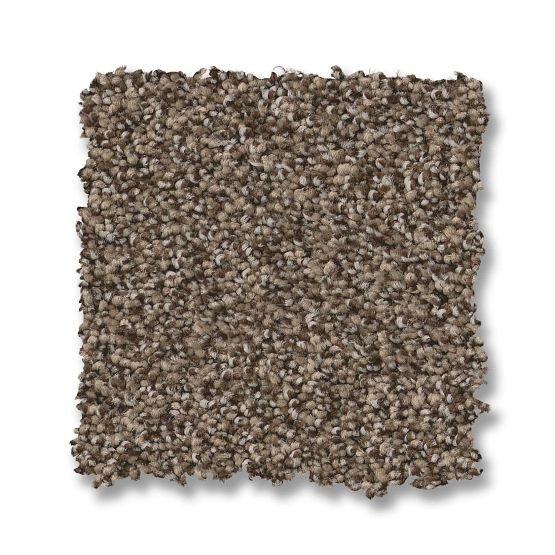 Fabulous Smokehouse Textured Nylon Carpet