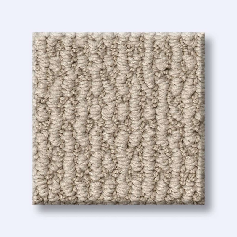 Pet Perfect Plus Crafted Embrace Sun Kissed Polyester Carpet