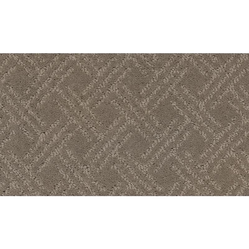 Exquisite Touch Ancient Oaks Triexta Carpet – Pattern