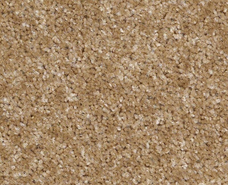 Shaw Lake Stevens Country Road Textured Nylon Area Rug