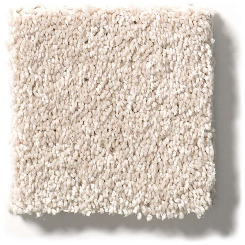 Pet Perfect Plus Basic Rules Blush Polyester Carpet - Textured