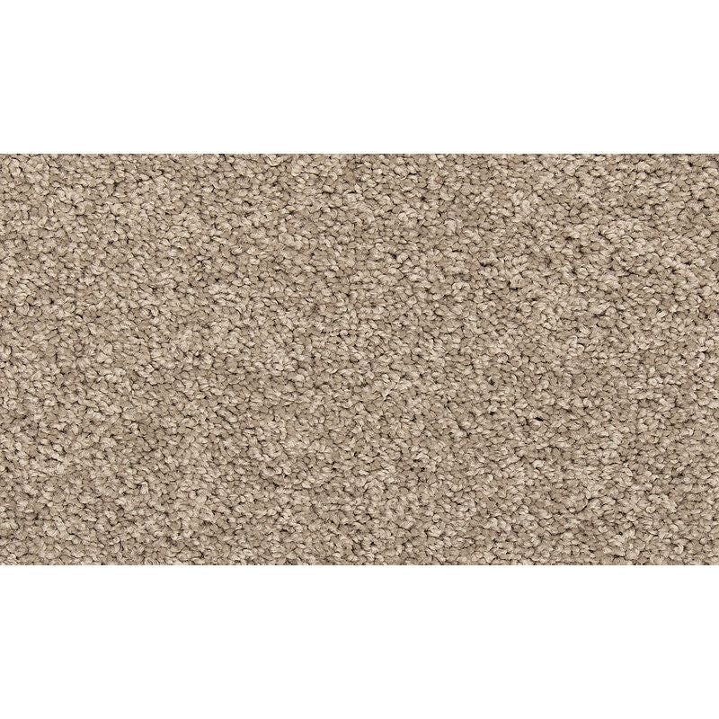 Vitalize Ii Havana Polyester Carpet - Textured