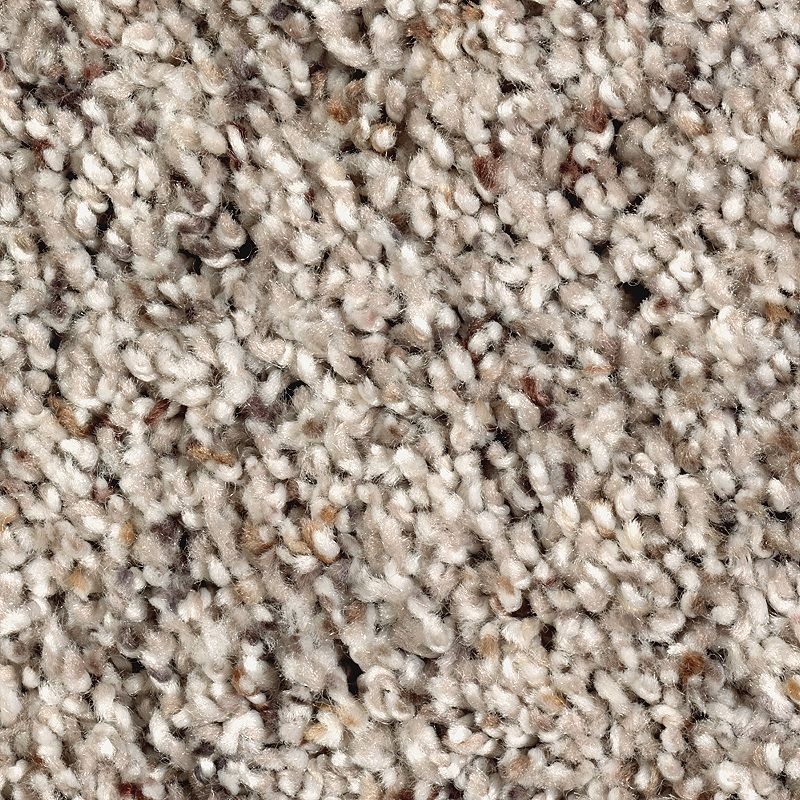 Soft Sensations I Warm Stone Textured Polyester Carpet