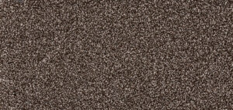 New Foundation Walnut Polypropylene Carpet - Textured