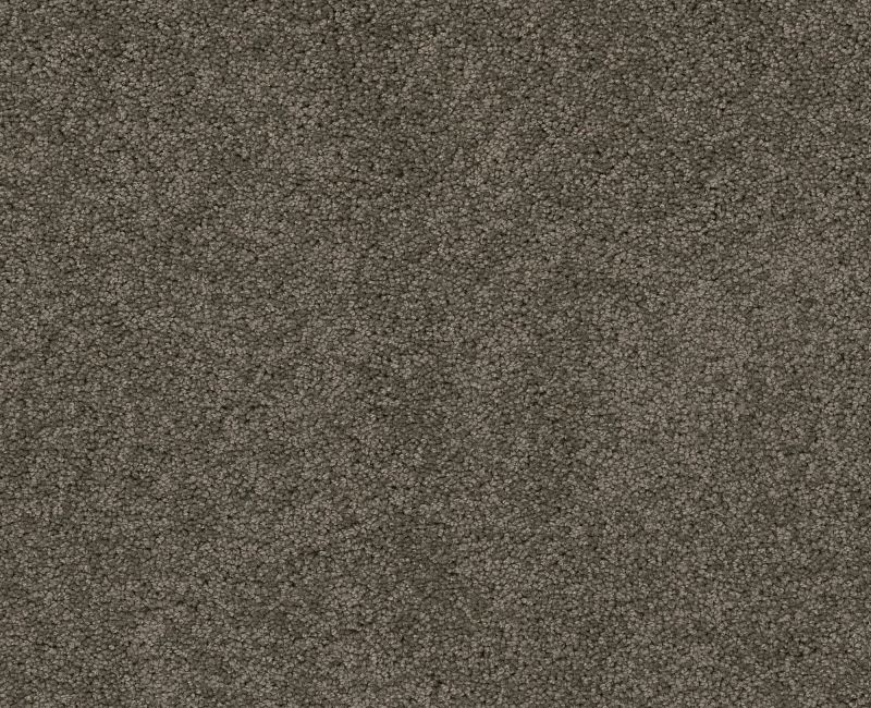 My Style 3 Rustic Elegance Nylon Carpet