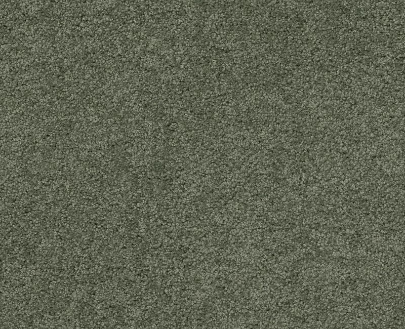 My Style 3 Bay Laurel Nylon Carpet - Textured