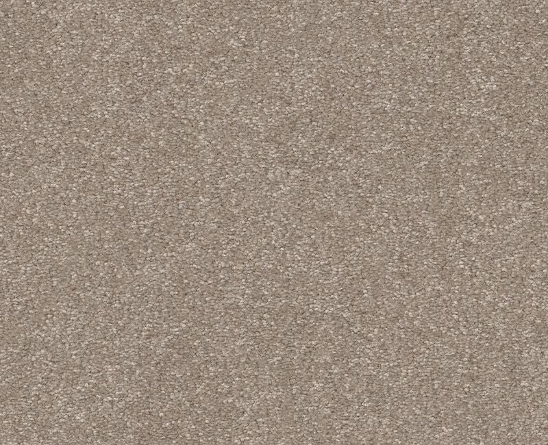 Off The Leash I 12 Glacier Polyester Carpet - Loop