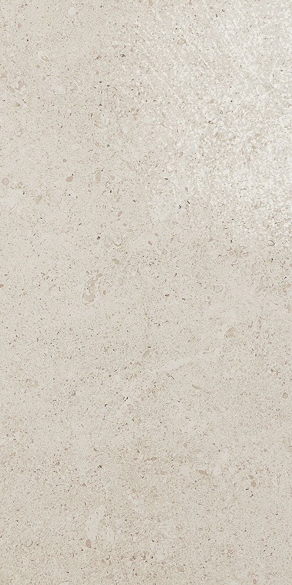 Dignitary Luminary White Porcelain Tile - Light Polished - 12" X 24"