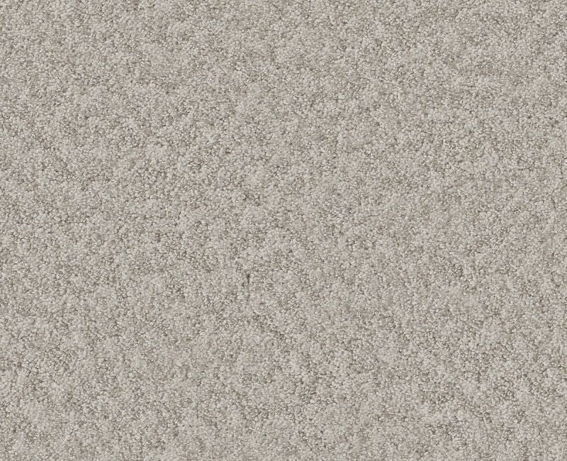 Showy Split Sediment Nylon Carpet - Loop
