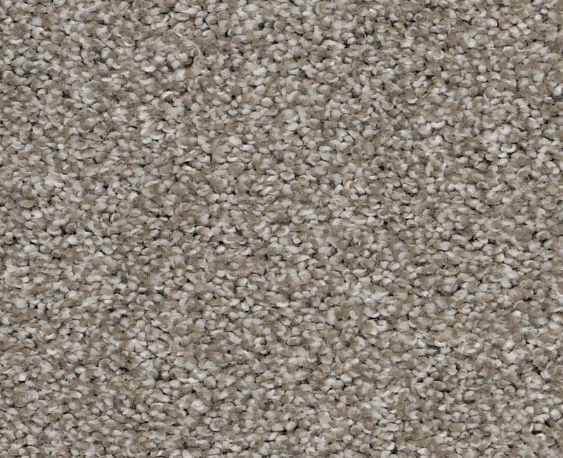 Always On Time Arrowhead Nylon Carpet - Textured