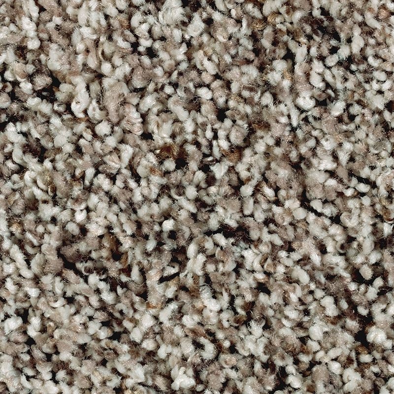 Softly Elegant I First Star Polyester Carpet - Textured