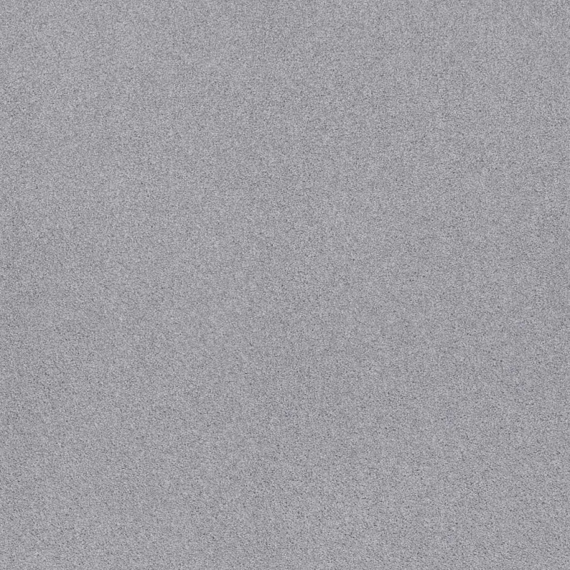 Sweet Inspiration II Silver Strand Nylon Carpet