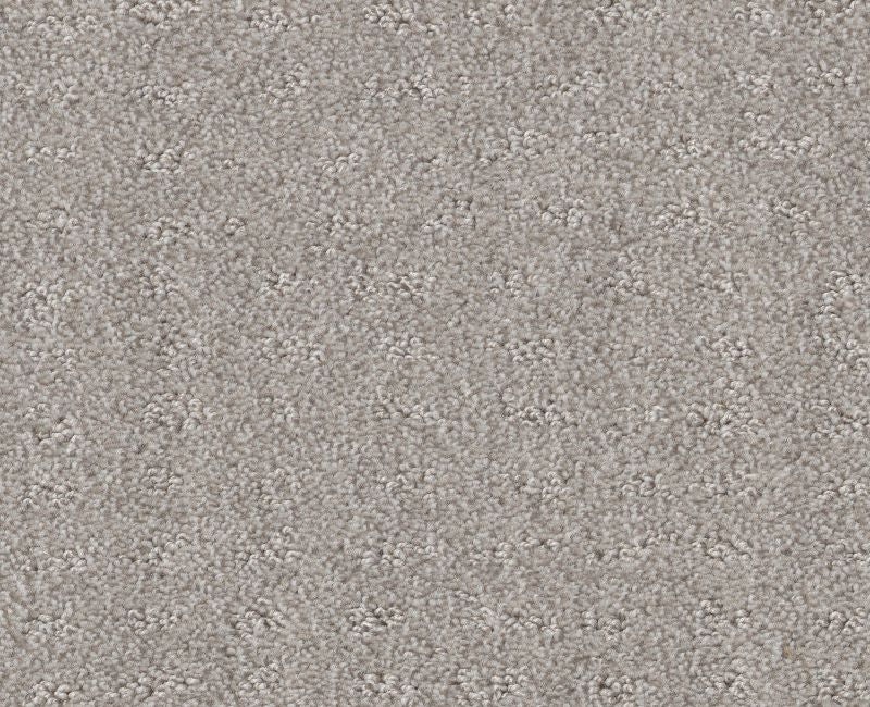 Latest Thing Silver Lining Nylon Carpet - Loop