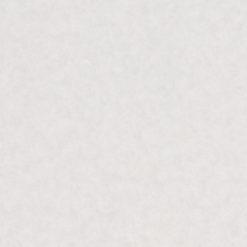 White Wood Glass Veneer - Polished - 24" X 24"