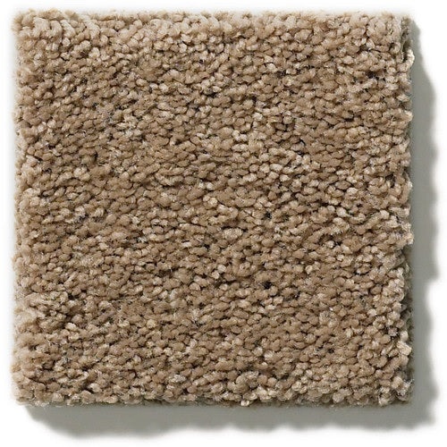 Secretly Hillcrest Nylon Carpet - Textured