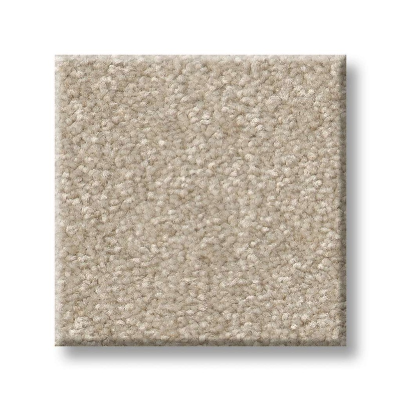 Pet Perfect Hard At Play I 15' Natural Polyester Carpet - Textured