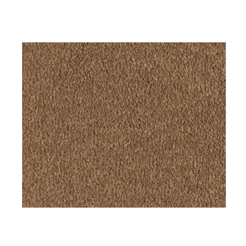 Bright Spirit I 12 Peanut Brittle Nylon Carpet - Textured