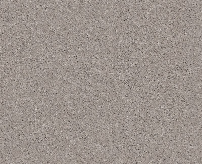 Detailed Elegance I Glaze Nylon Carpet - Loop