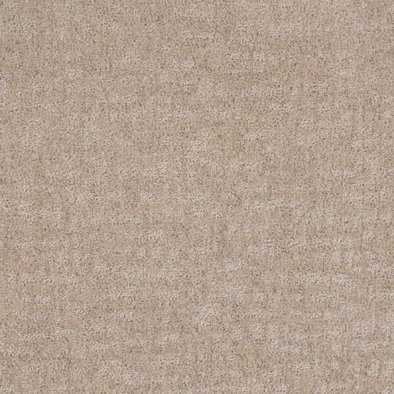 Veiled Tapestry Delicacy Polypropylene Carpet - Loop