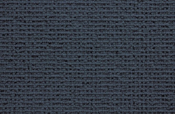 Natural Wonders Sequoia Indigo Wool Carpet - Textured