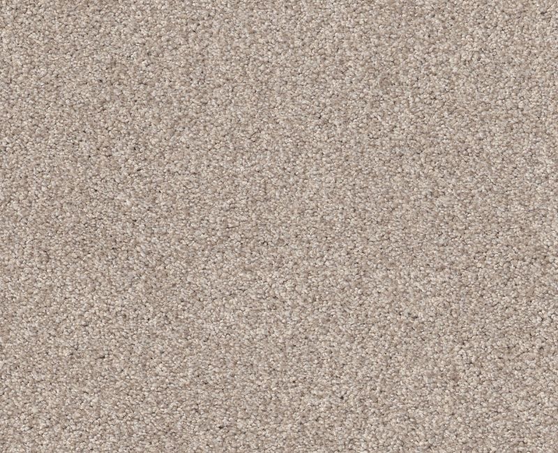 Simple Life Warm Sand Nylon Carpet - Textured