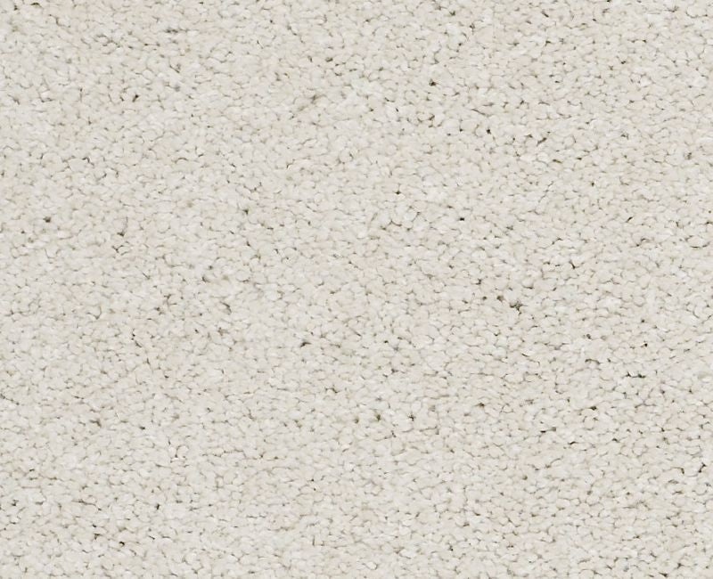 Pelotage II Suffolk Nylon Carpet - Textured