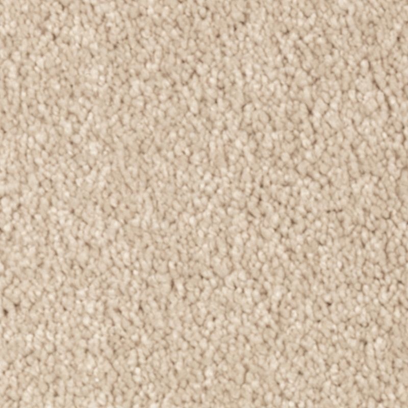 Natural Splendor Ii Beach Pebble Triexta Carpet - Textured