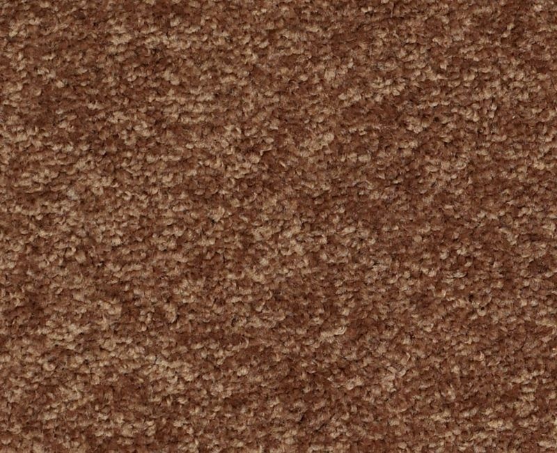 Main Stay 15' Pottery Polyester Carpet - Textured