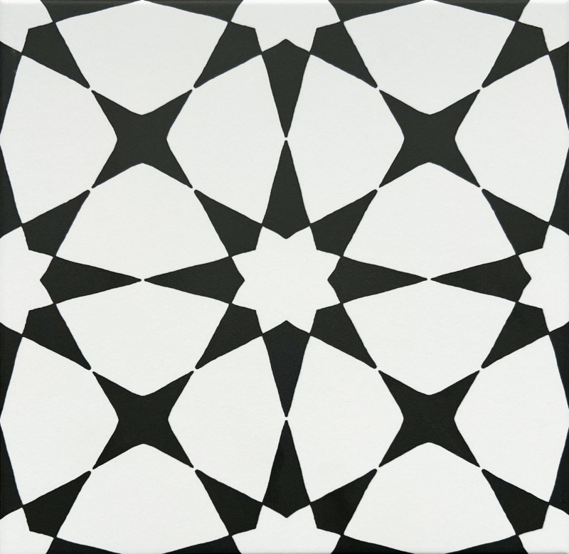 Studio Nova Matte Porcelain Tile - 8" x 8"