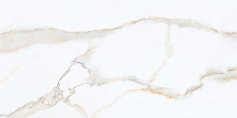 Calacatta Gold Vecchio Matte Porcelain Tile - 16" x 48"