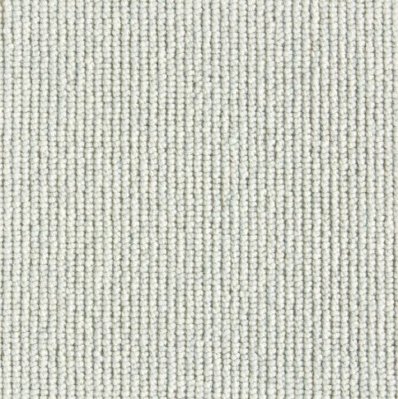 Natural Wonders Rogue Robin's Egg Wool Blend Carpet