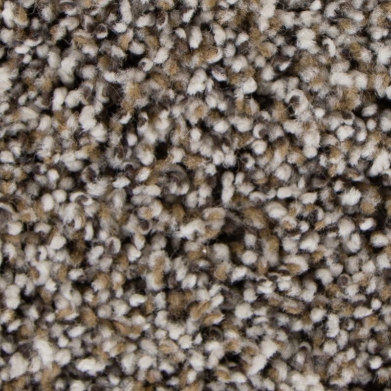 Soft Intrigue Ii Stellar Polyester Carpet - Textured