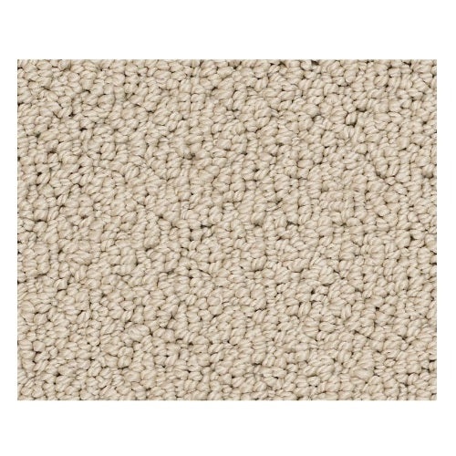 Truly Tranquil Loop Clay Stone Nylon Carpet - Loop