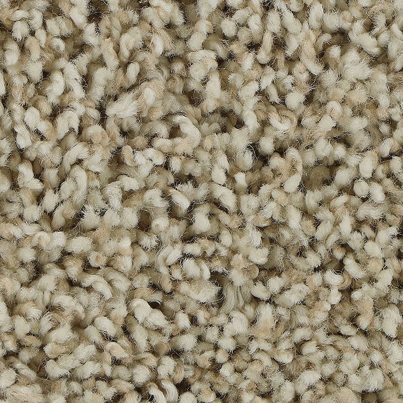 Soft Aspect Romano Polyester Carpet - Textured