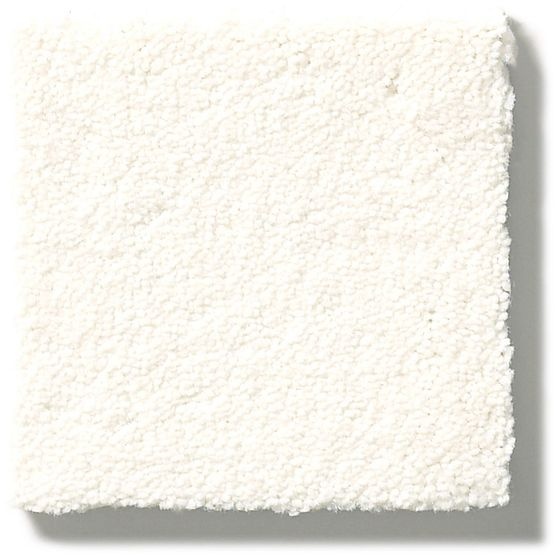 Perfect Choice Classic Nylon Carpet - Textured